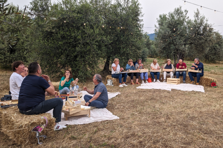 Evo in Wonderlan - L'esperienza in oliveta toscana